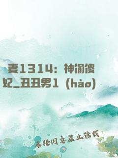 寵妻1314：神偷傻妃
