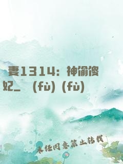 寵妻1314：神偷傻妃