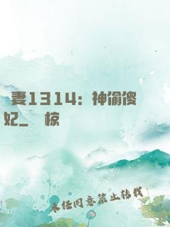 寵妻1314：神偷傻妃