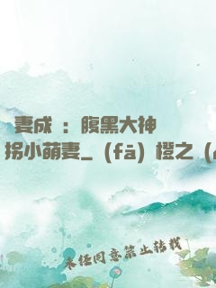 寵妻成癮：腹黑大神誘拐小萌妻