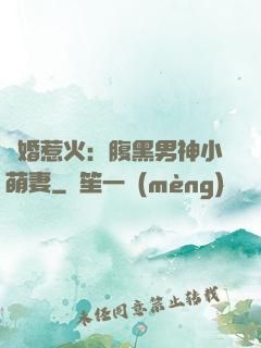 寵婚惹火：腹黑男神小萌妻