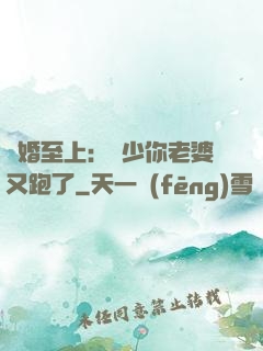 寵婚至上：厲少你老婆又跑了
