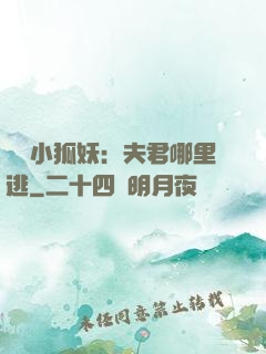 寵寵小狐妖：夫君哪里逃