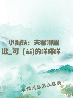 寵寵小狐妖：夫君哪里逃