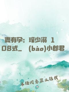 寶妻有孕：琛少溺寵108式
