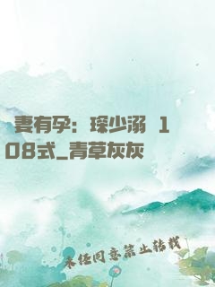 寶妻有孕：琛少溺寵108式