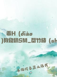 寶貝乖H調(diào)教跪趴SM