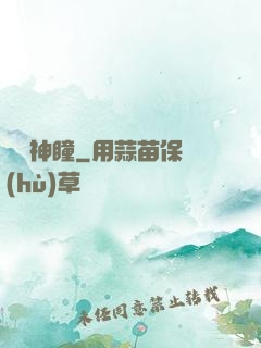 尋寶神瞳