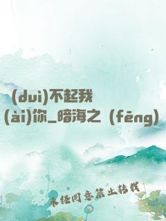 對(duì)不起我愛(ài)你