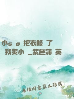 小sαo貨把衣服脫了讓我爽小說