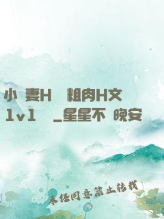 小嬌妻H開葷粗肉H文1v1視頻