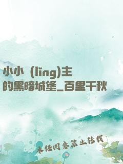 小小領(lǐng)主的黑暗城堡