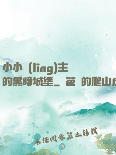 小小領(lǐng)主的黑暗城堡
