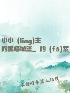 小小領(lǐng)主的黑暗城堡