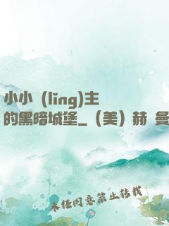 小小領(lǐng)主的黑暗城堡