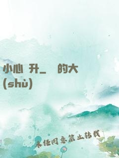 小心飛升