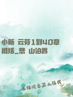 小新與云芬1到40章概括