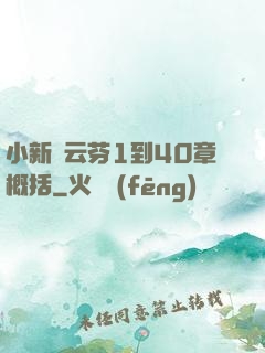 小新與云芬1到40章概括