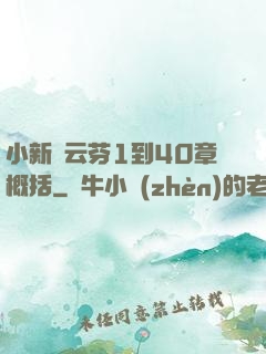 小新與云芬1到40章概括