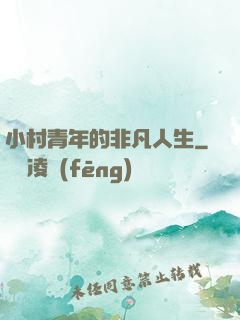 小村青年的非凡人生