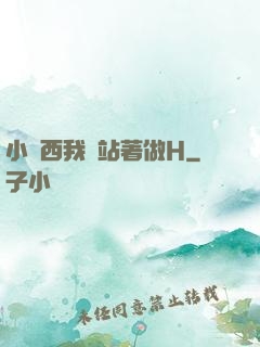 小東西我們站著做H