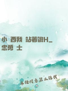 小東西我們站著做H