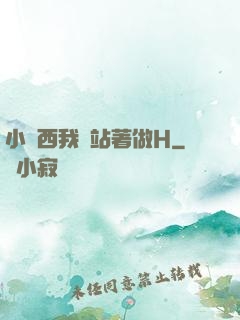 小東西我們站著做H