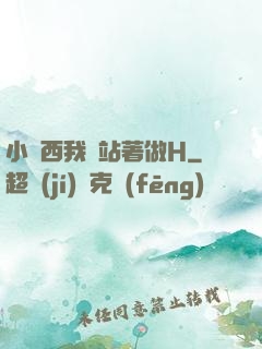 小東西我們站著做H