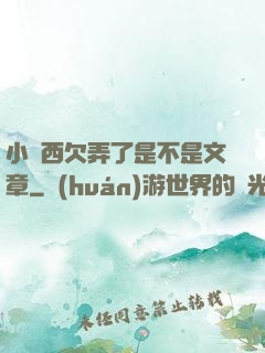 小東西欠弄了是不是文章