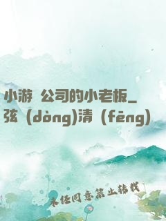 小游戲公司的小老板