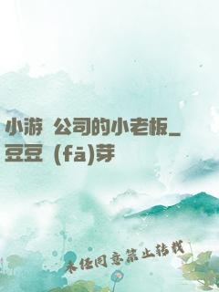 小游戲公司的小老板