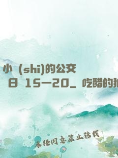 小詩(shī)的公交車日記15一20