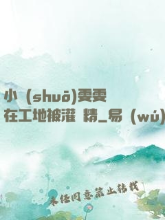 小說(shuō)雯雯在工地被灌滿精