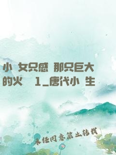 小龍女只感覺那只巨大的火龍槍1