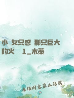 小龍女只感覺那只巨大的火龍槍1