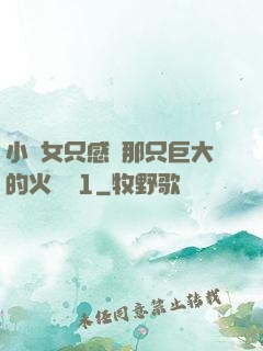 小龍女只感覺那只巨大的火龍槍1