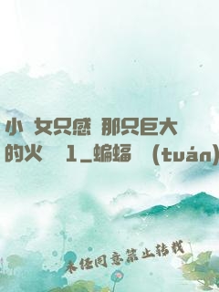 小龍女只感覺那只巨大的火龍槍1