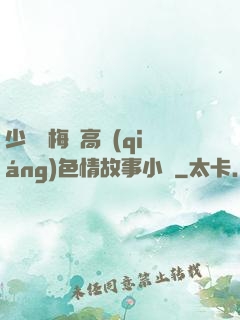 少婦張梅與高強(qiáng)色情故事小說