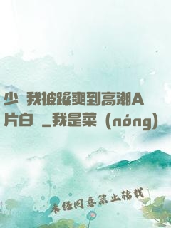 少婦我被躁爽到高潮A片白潔