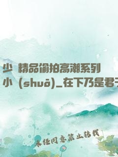 少婦精品偷拍高潮系列小說(shuō)