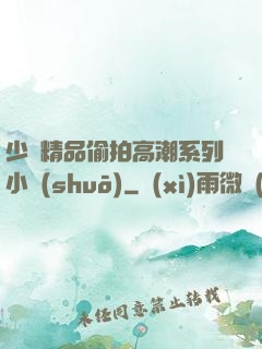 少婦精品偷拍高潮系列小說(shuō)