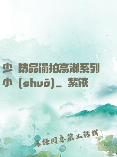 少婦精品偷拍高潮系列小說(shuō)