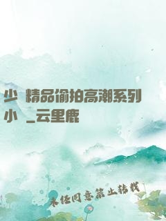 少婦精品偷拍高潮系列小說