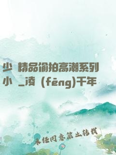 少婦精品偷拍高潮系列小說