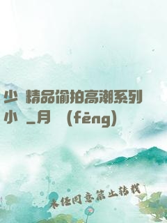 少婦精品偷拍高潮系列小說