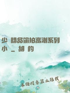 少婦精品偷拍高潮系列小說