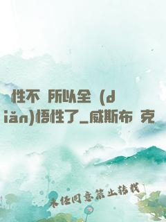 屬性不夠所以全點(diǎn)悟性了