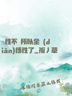 屬性不夠所以全點(diǎn)悟性了