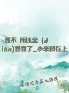 屬性不夠所以全點(diǎn)悟性了