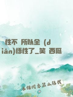 屬性不夠所以全點(diǎn)悟性了